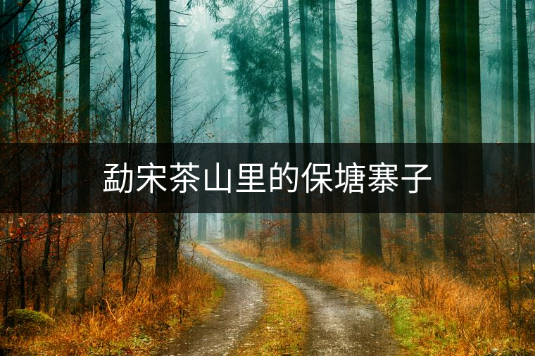 勐宋茶山里的保塘寨子 勐宋茶山里的保塘寨子