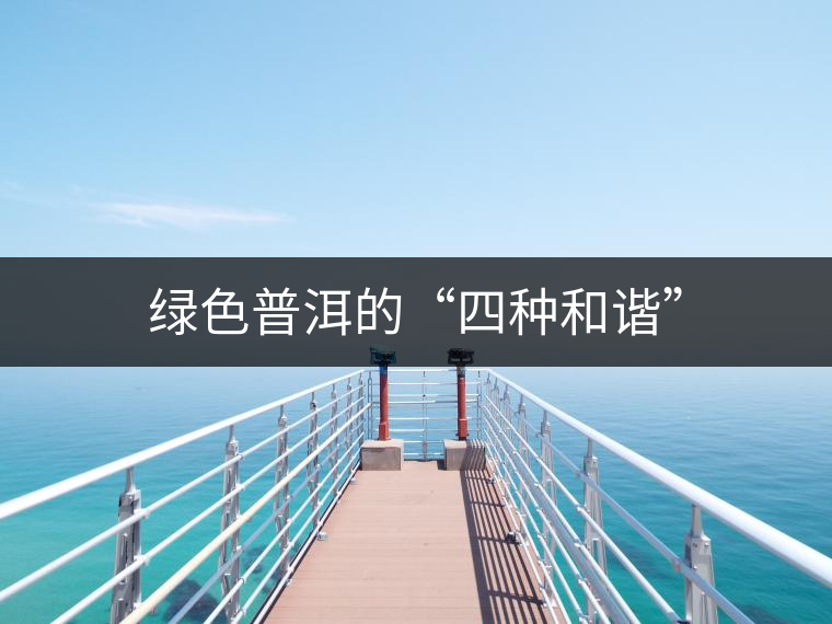 綠色普洱的“四種和諧”