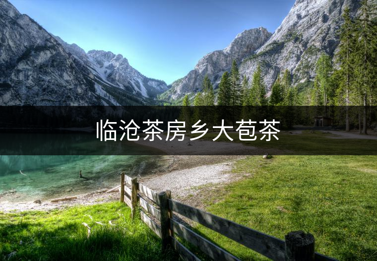 臨滄茶房鄉(xiāng)大苞茶 臨滄茶房鄉(xiāng)大苞茶