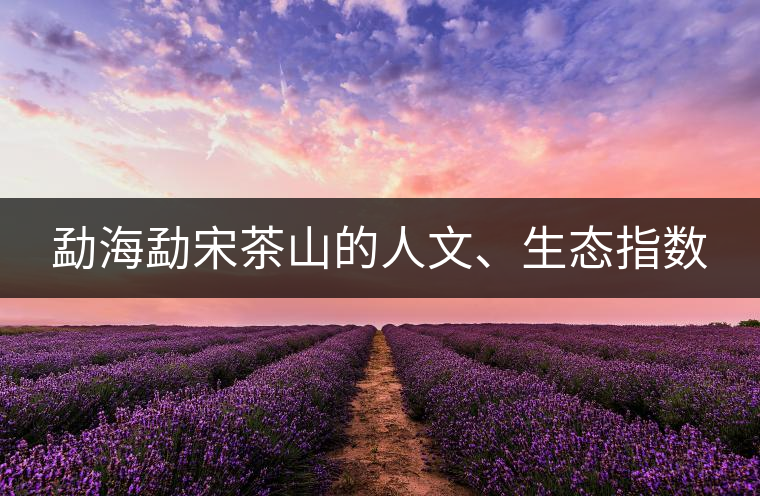 勐海勐宋茶山的人文、生態(tài)指數(shù)