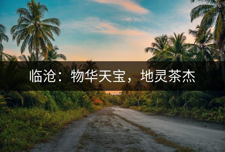 臨滄：物華天寶，地靈茶杰