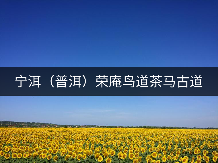 寧洱(普洱)榮庵鳥(niǎo)道茶馬古道 寧洱(普洱)榮庵鳥(niǎo)道茶馬古道
