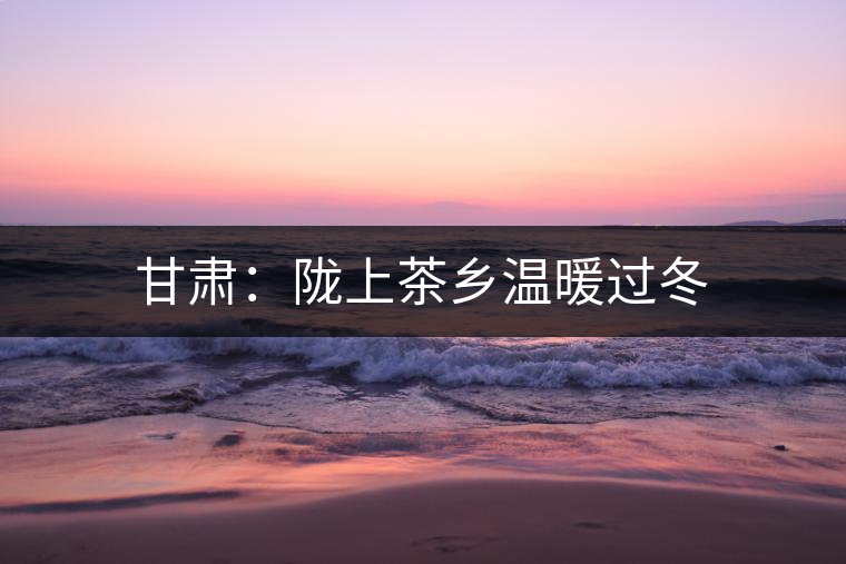 甘肅：隴上茶鄉(xiāng)溫暖過冬