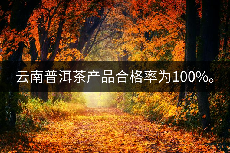 云南普洱茶產(chǎn)品合格率為100%。
