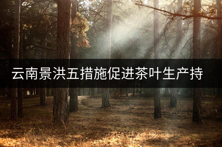 云南景洪五措施促進茶葉生產(chǎn)持續(xù)發(fā)展 云南景洪五措施促進茶葉生產(chǎn)持續(xù)發(fā)展