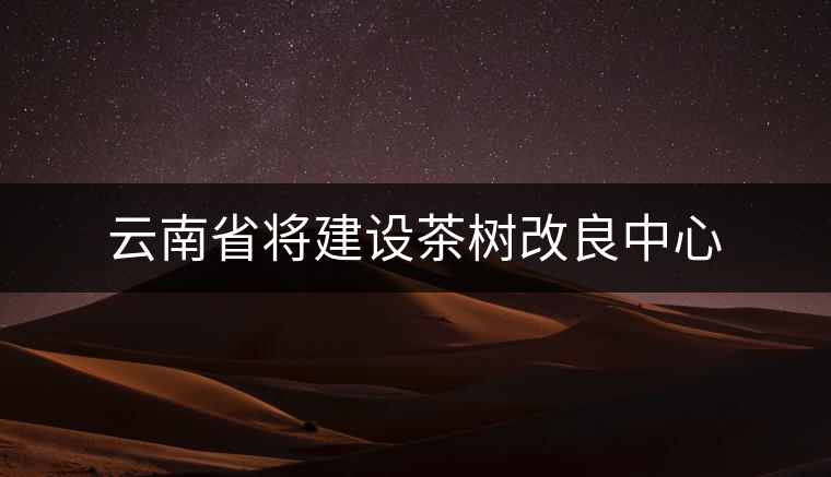 云南省將建設(shè)茶樹(shù)改良中心 云南省將建設(shè)茶樹(shù)改良中心