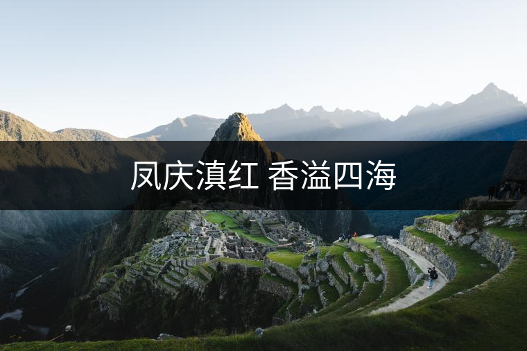 鳳慶滇紅 香溢四海