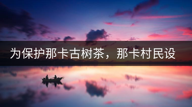 為保護(hù)那卡古樹茶，那卡村民設(shè)公約牌