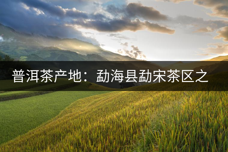 普洱茶產(chǎn)地:勐??h勐宋茶區(qū)之那卡 普洱茶產(chǎn)地:勐海縣勐宋茶區(qū)之那卡