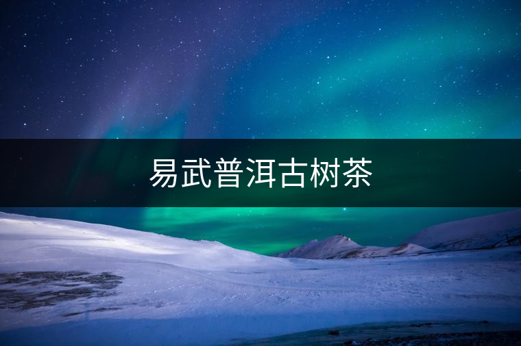 易武普洱古樹茶 易武普洱古樹茶