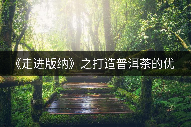 《走進(jìn)版納》之打造普洱茶的優(yōu)質(zhì)基地