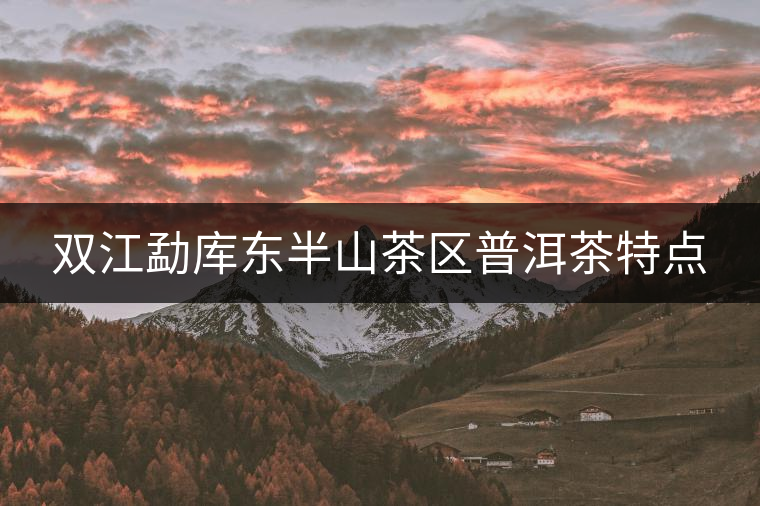 雙江勐庫東半山茶區(qū)普洱茶特點