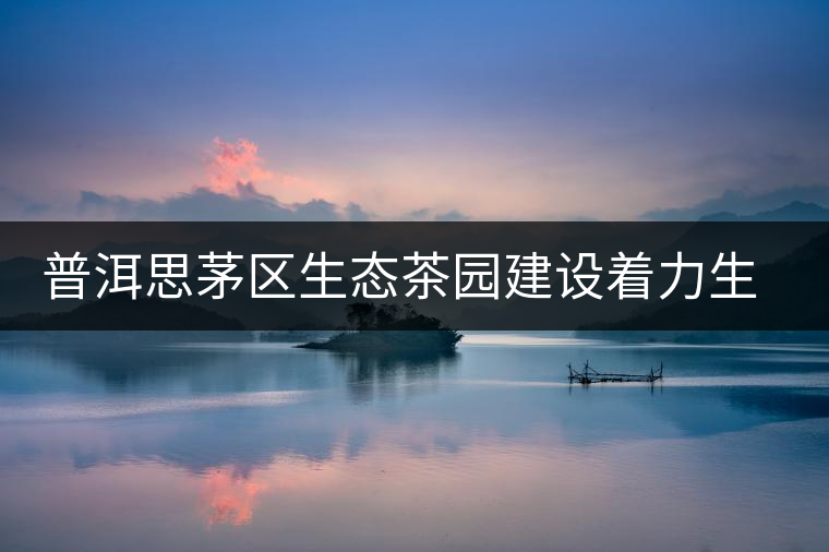 普洱思茅區(qū)生態(tài)茶園建設著力生物多樣性立體復合式