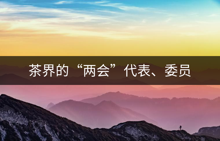 茶界的“兩會”代表、委員