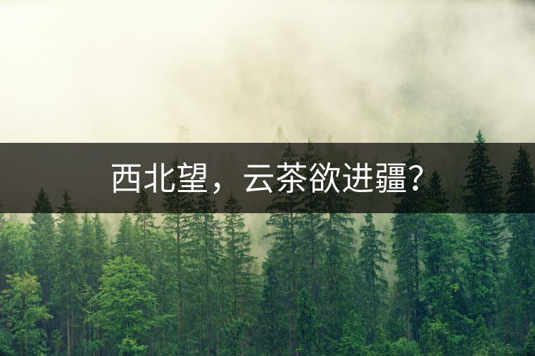 西北望，云茶欲進(jìn)疆？