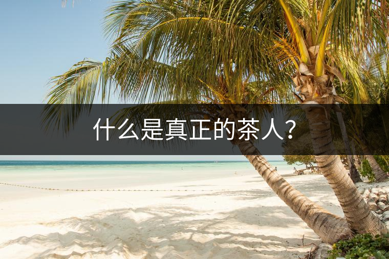 什么是真正的茶人？