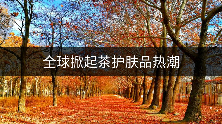 全球掀起茶護膚品熱潮 全球掀起茶護膚品熱潮