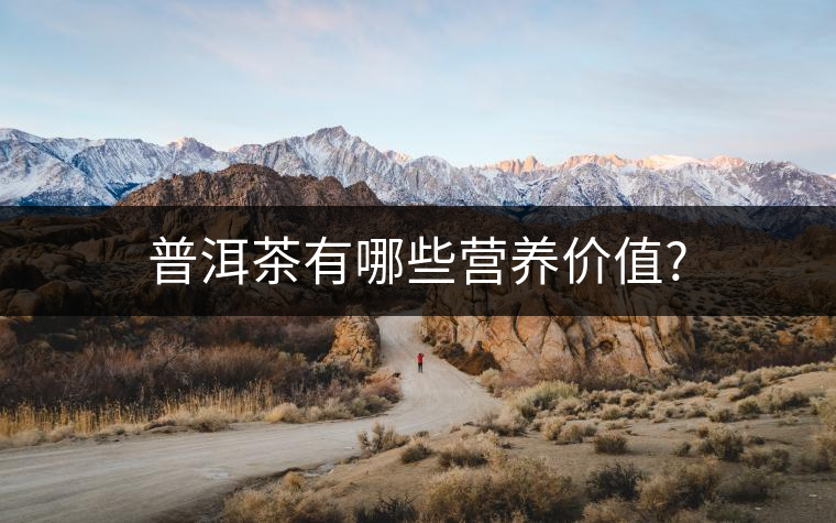 普洱茶有哪些營養(yǎng)價值?