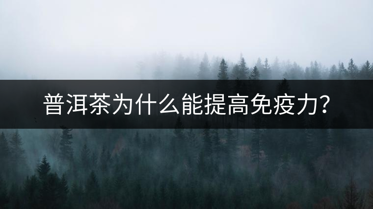 普洱茶為什么能提高免疫力？