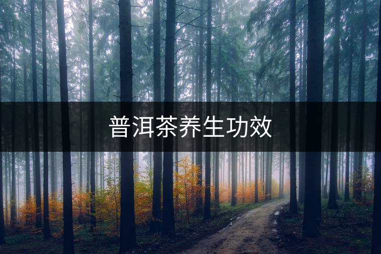 普洱茶養(yǎng)生功效 普洱茶養(yǎng)生功效
