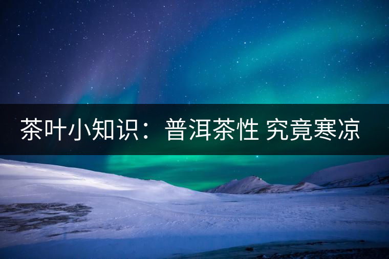 茶葉小知識：普洱茶性 究竟寒涼溫熱？