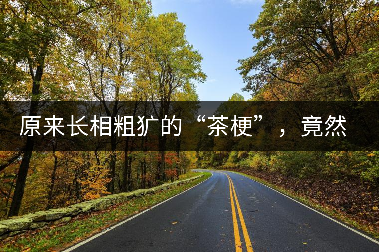 原來長(zhǎng)相粗獷的“茶?！?，竟然還有這么多的作用