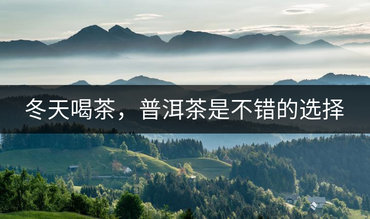 冬天喝茶，普洱茶是不錯(cuò)的選擇