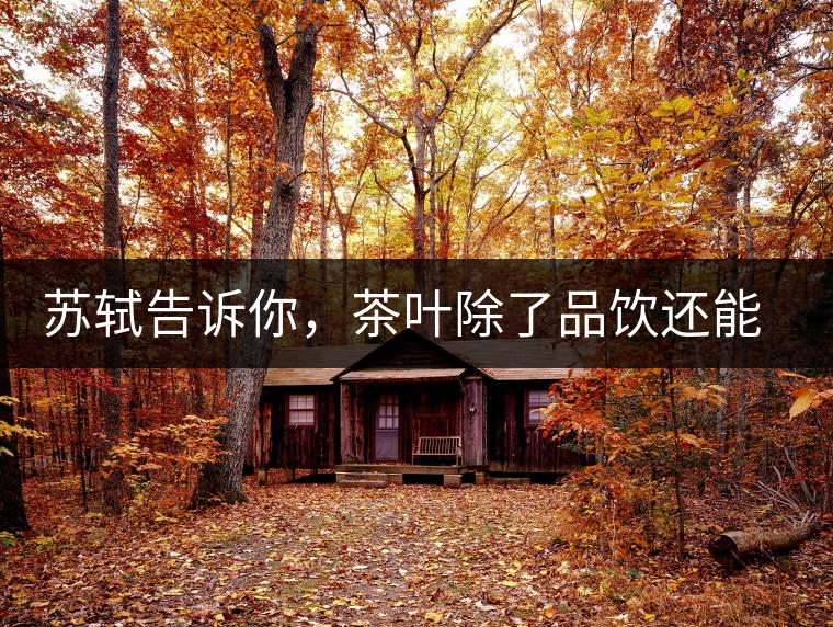 蘇軾告訴你，茶葉除了品飲還能做什么？