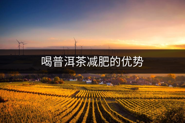 喝普洱茶減肥的優(yōu)勢(shì)