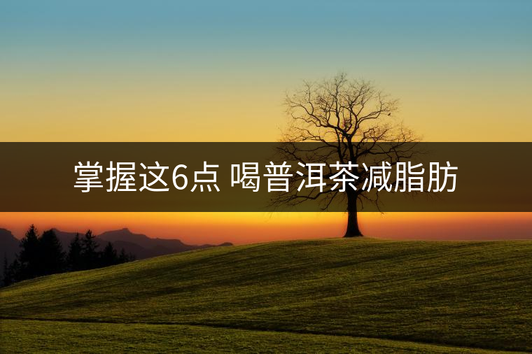 掌握這6點 喝普洱茶減脂肪
