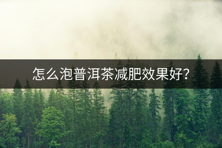 怎么泡普洱茶減肥效果好？