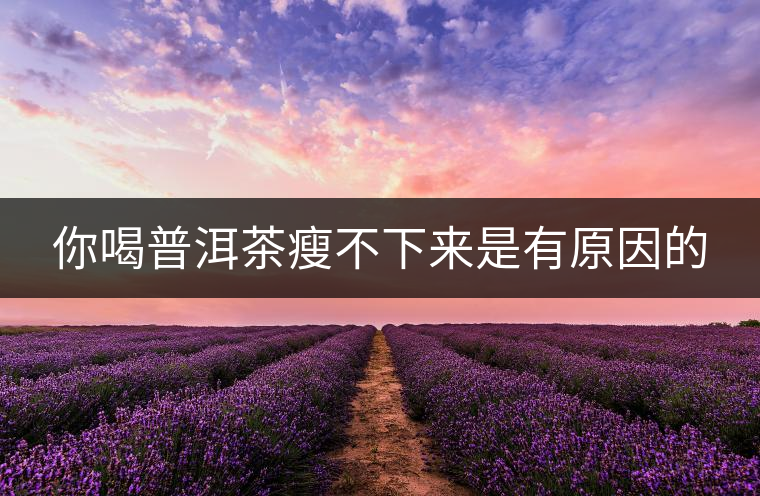 你喝普洱茶瘦不下來是有原因的