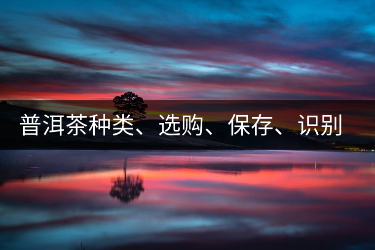 普洱茶種類、選購、保存、識別、沖泡