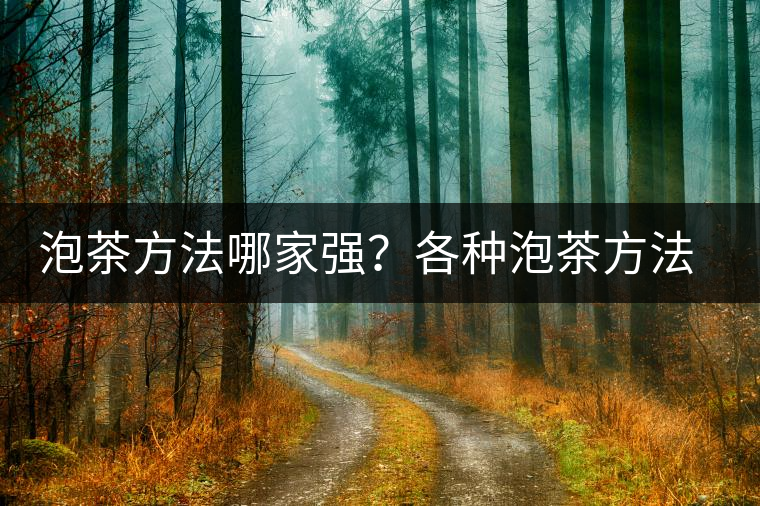 泡茶方法哪家強？各種泡茶方法介紹