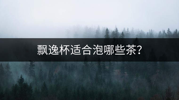 飄逸杯適合泡哪些茶？