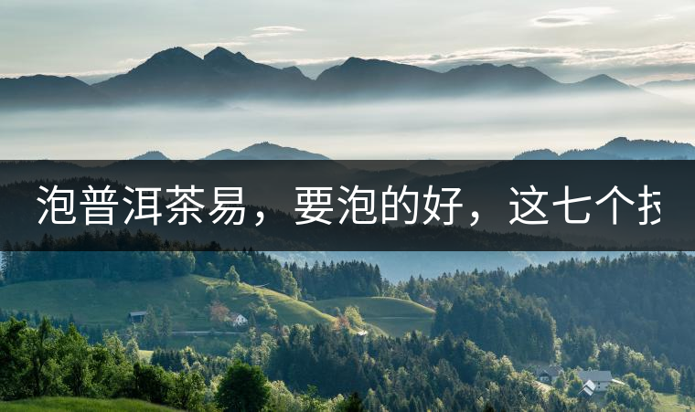 泡普洱茶易，要泡的好，這七個技巧很重要！