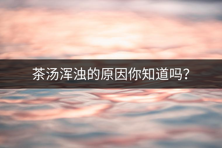 茶湯渾濁的原因你知道嗎？