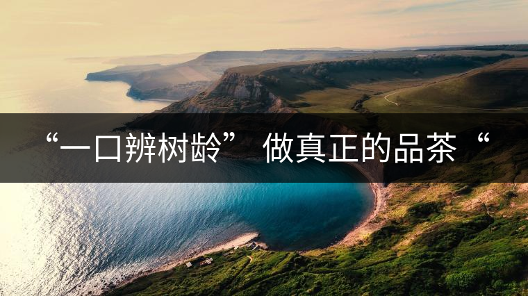 “一口辨樹(shù)齡” 做真正的品茶“大師”！