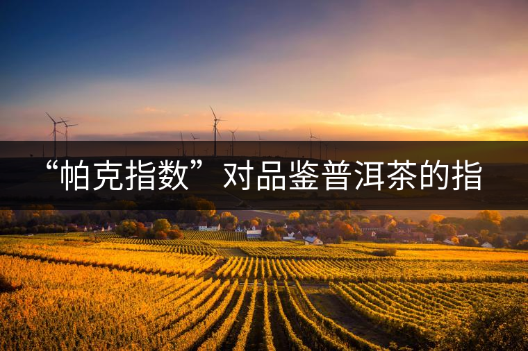 “帕克指數(shù)”對品鑒普洱茶的指導(dǎo)意義在哪里？「跨界有道」