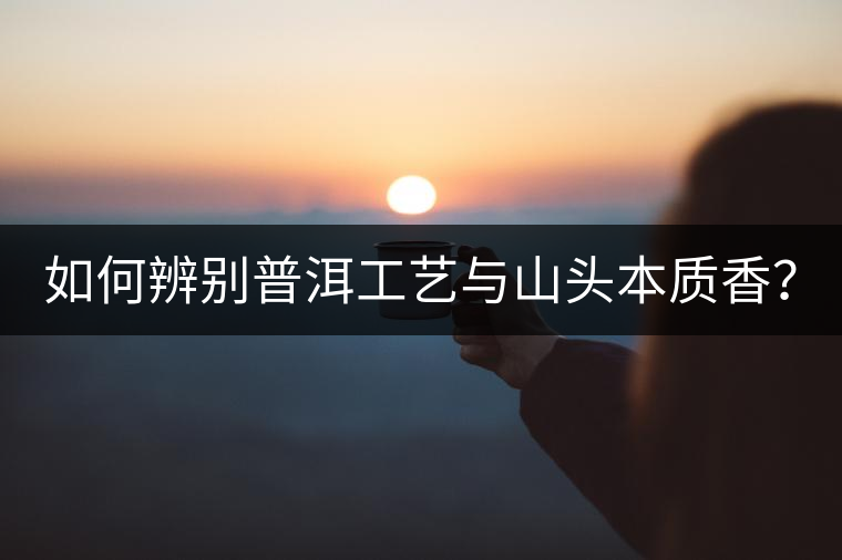 如何辨別普洱工藝與山頭本質(zhì)香？