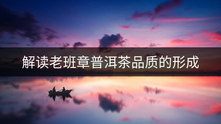 解讀老班章普洱茶品質的形成 解讀老班章普洱茶品質的形成