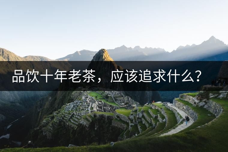 品飲十年老茶，應(yīng)該追求什么？滋味還是故事？