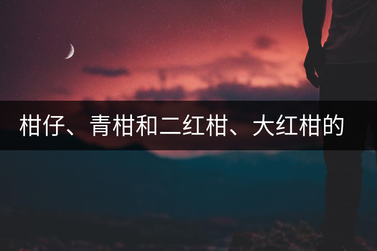 柑仔、青柑和二紅柑、大紅柑的區(qū)別，你可知道？