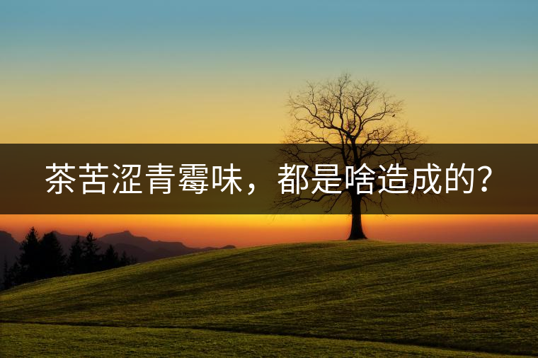 茶苦澀青霉味，都是啥造成的？