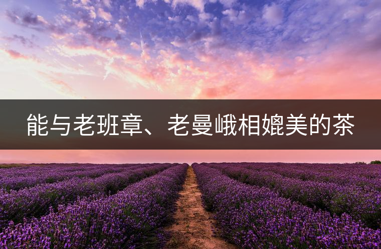 能與老班章、老曼峨相媲美的茶