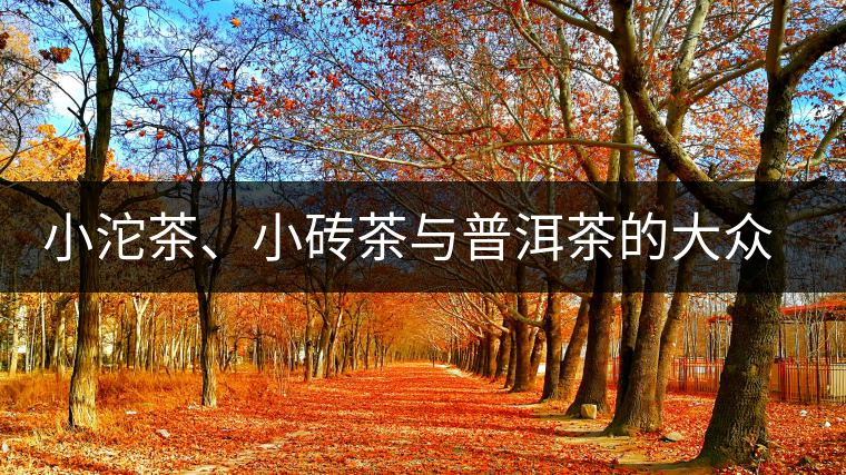 小沱茶、小磚茶與普洱茶的大眾化之路