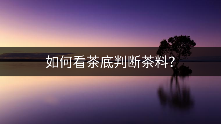 如何看茶底判斷茶料？