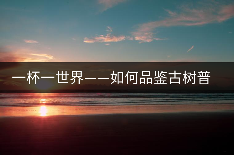 一杯一世界——如何品鑒古樹普洱 一杯一世界——如何品鑒古樹普洱