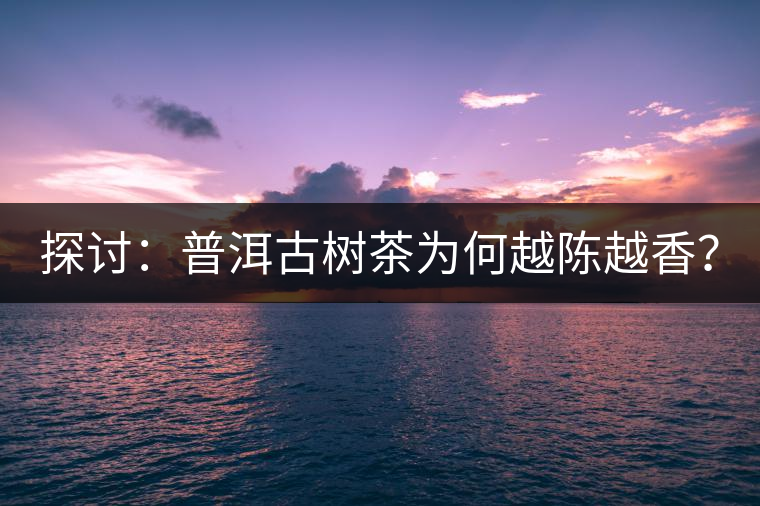 探討：普洱古樹(shù)茶為何越陳越香？