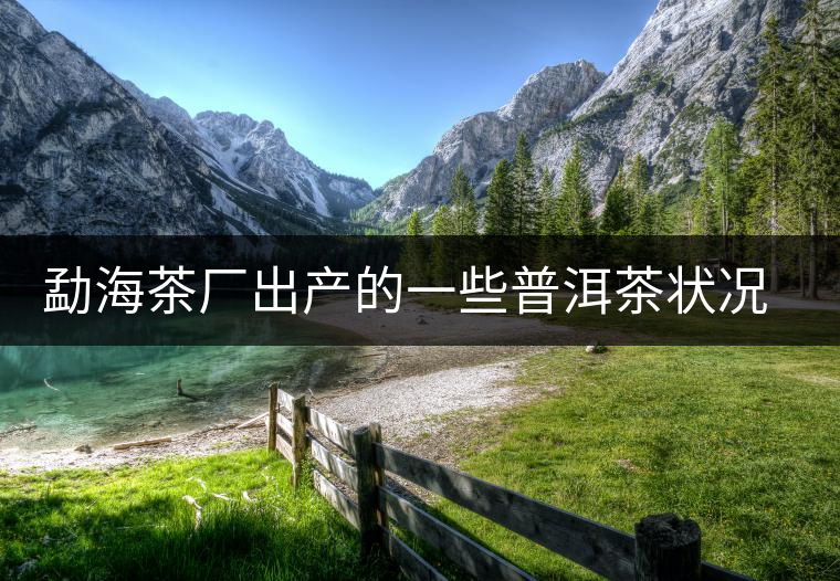 勐海茶廠(chǎng)出產(chǎn)的一些普洱茶狀況是怎樣？